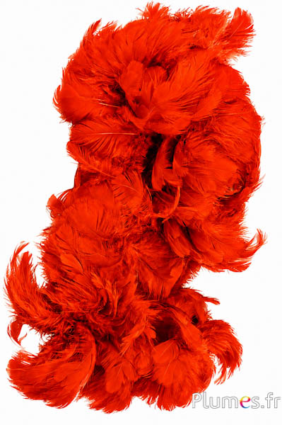 Gallina - 5-9 cm - arancioni sanguigno